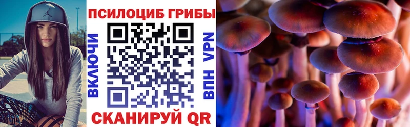 Галлюциногенные грибы прущие грибы  Зерноград 